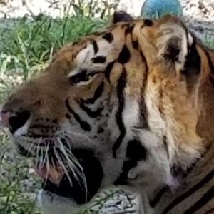 Meet your Posher, Kevin